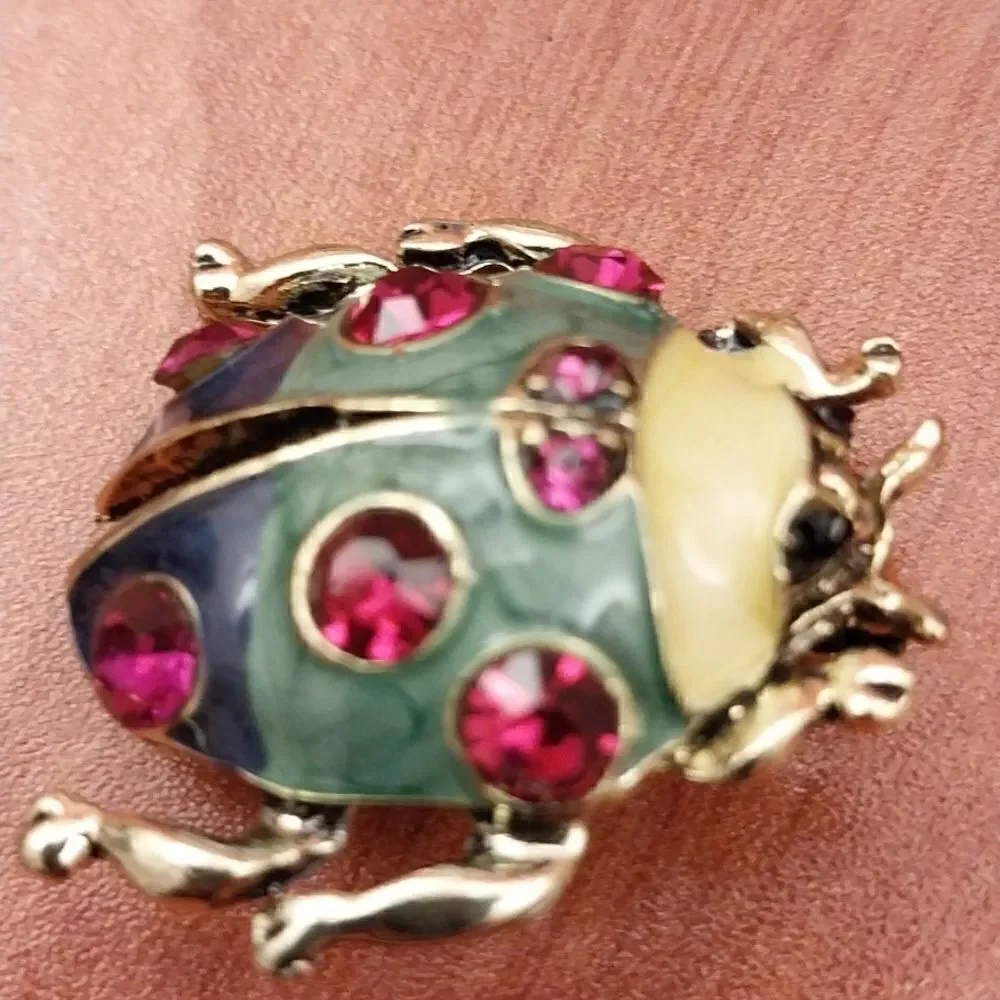 2 Insect Pins...New